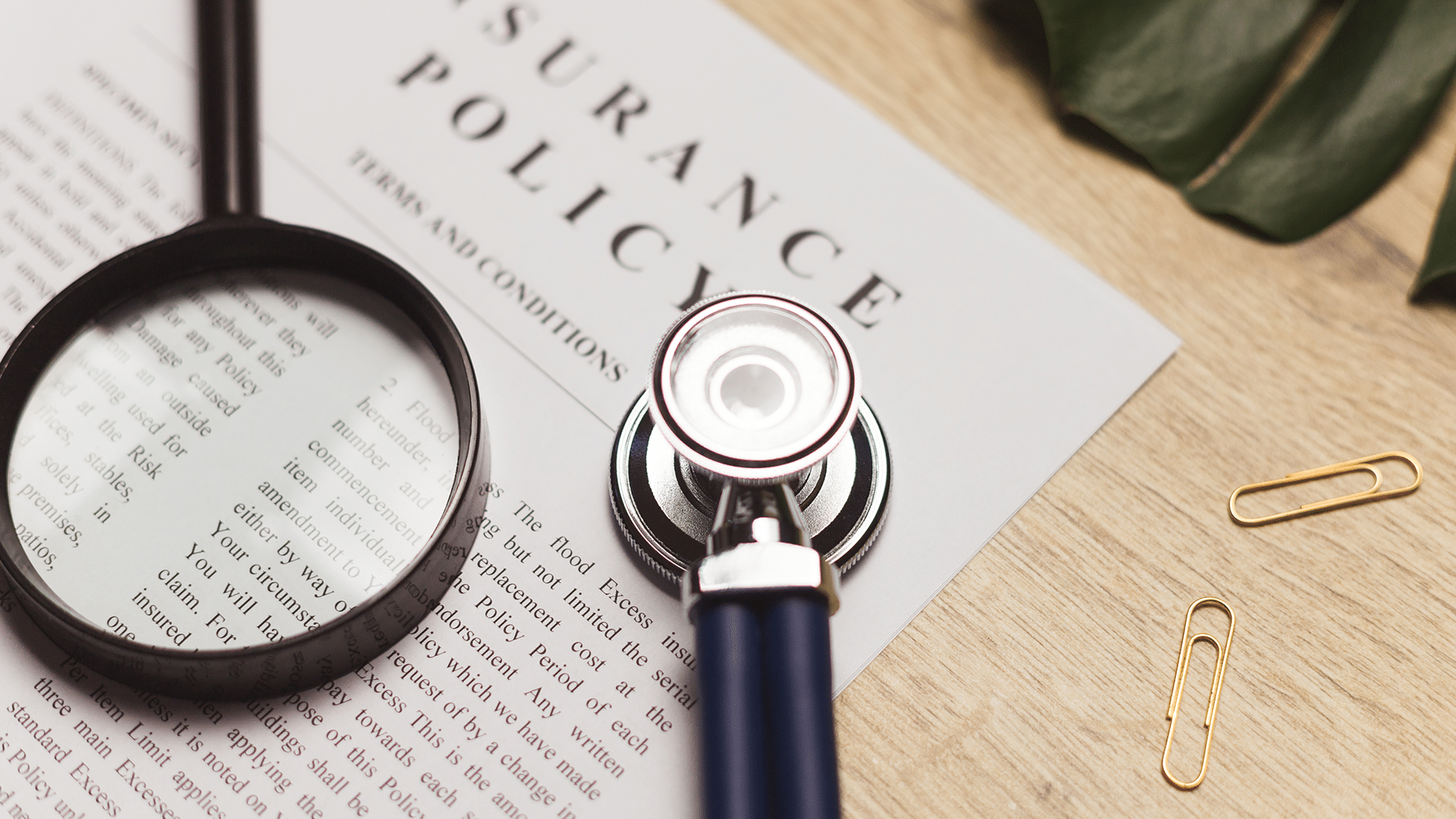How Many Life Insurances Can You Have in Manchester?